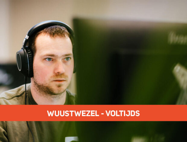 Medior ICT Support Engineer Wuustwezel