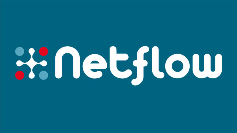 Logo Netflow turbo turquoise