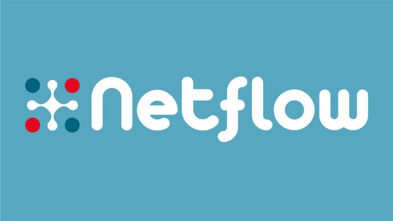 Logo Netflow cyber cyan