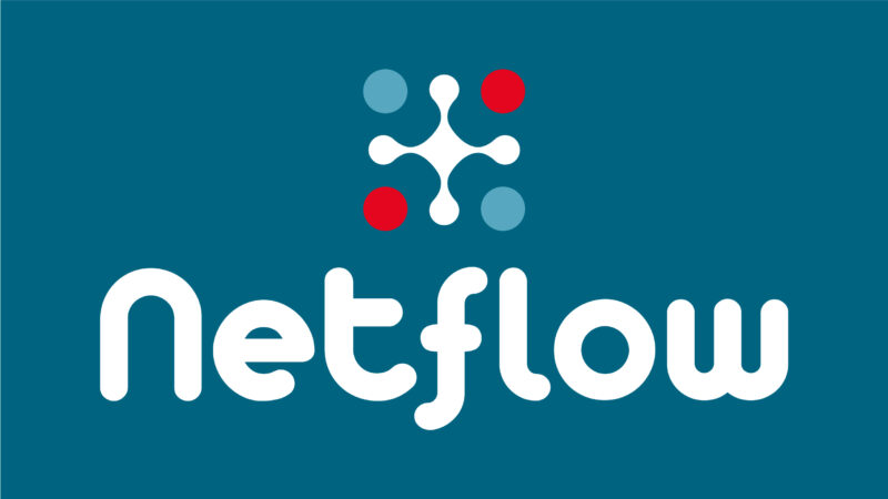 Logo Netflow turbo turquoise- verticaal