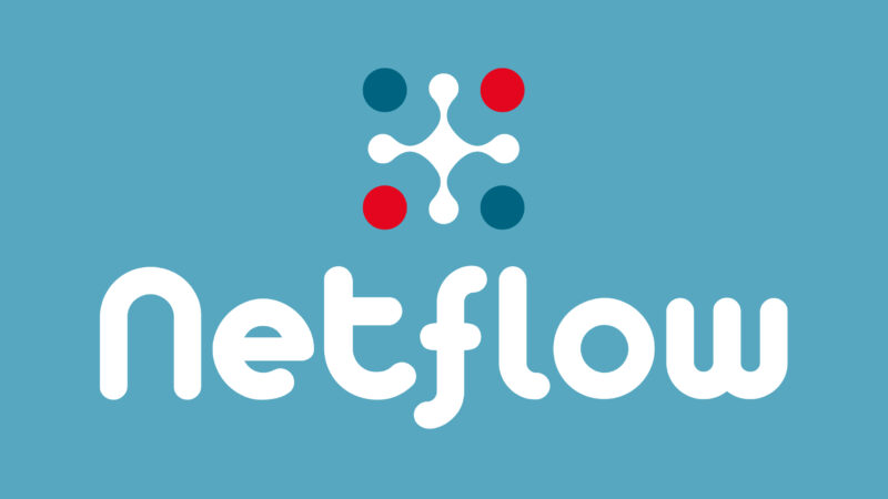 Logo Netflow cyber cyan - verticaal