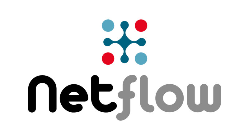 Logo Netflow wit - verticaal