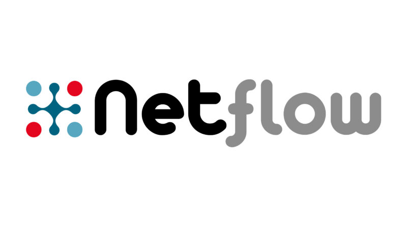 Logo Netflow wit