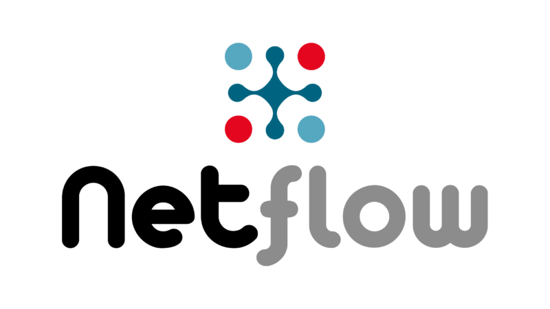 Logo Netflow transparant - verticaal